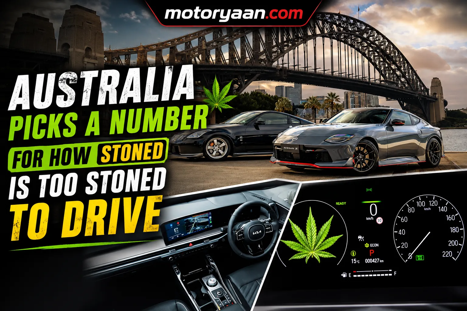 Medicinal Cannabis Drivers